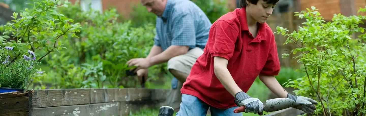 Tips for Smart Gardening